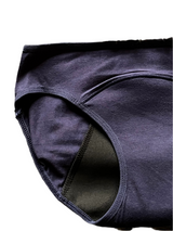 Leak Proof 4 Layered Period Panty - Blue