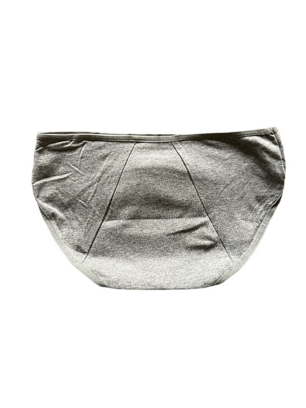 Leak Proof 4 Layered Period Panty - Blue