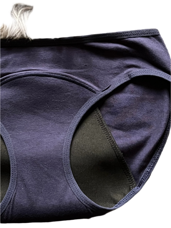 Leak Proof 4 Layered Period Panty - Gray